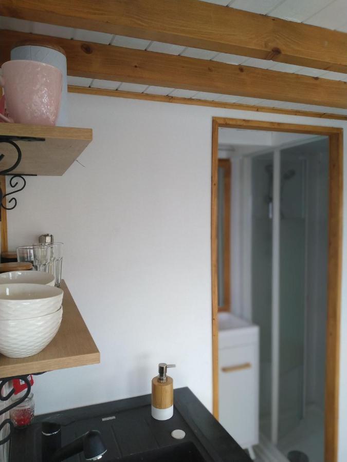 Tiny House Cluj With Jacuzzi Villa Sinnicoara Bagian luar foto
