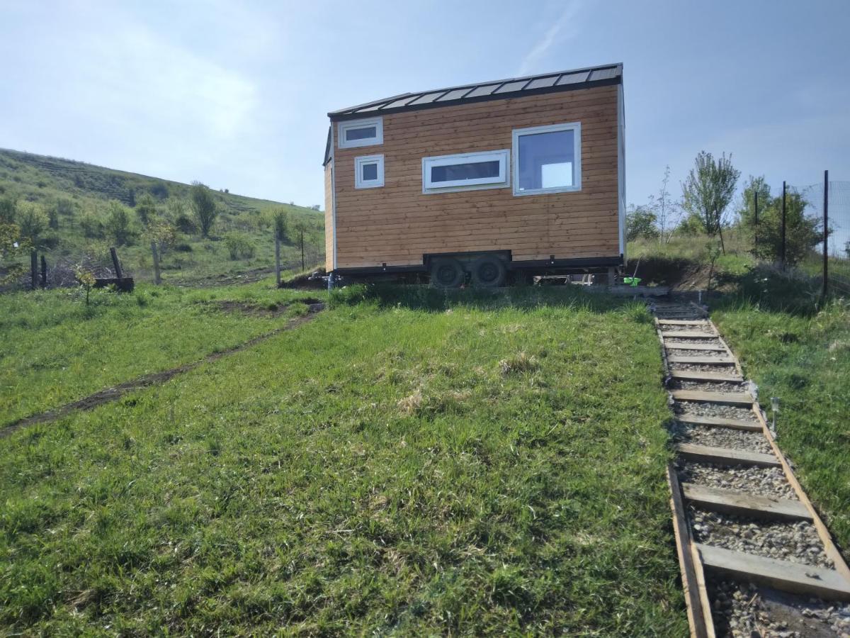 Tiny House Cluj With Jacuzzi Villa Sinnicoara Bagian luar foto