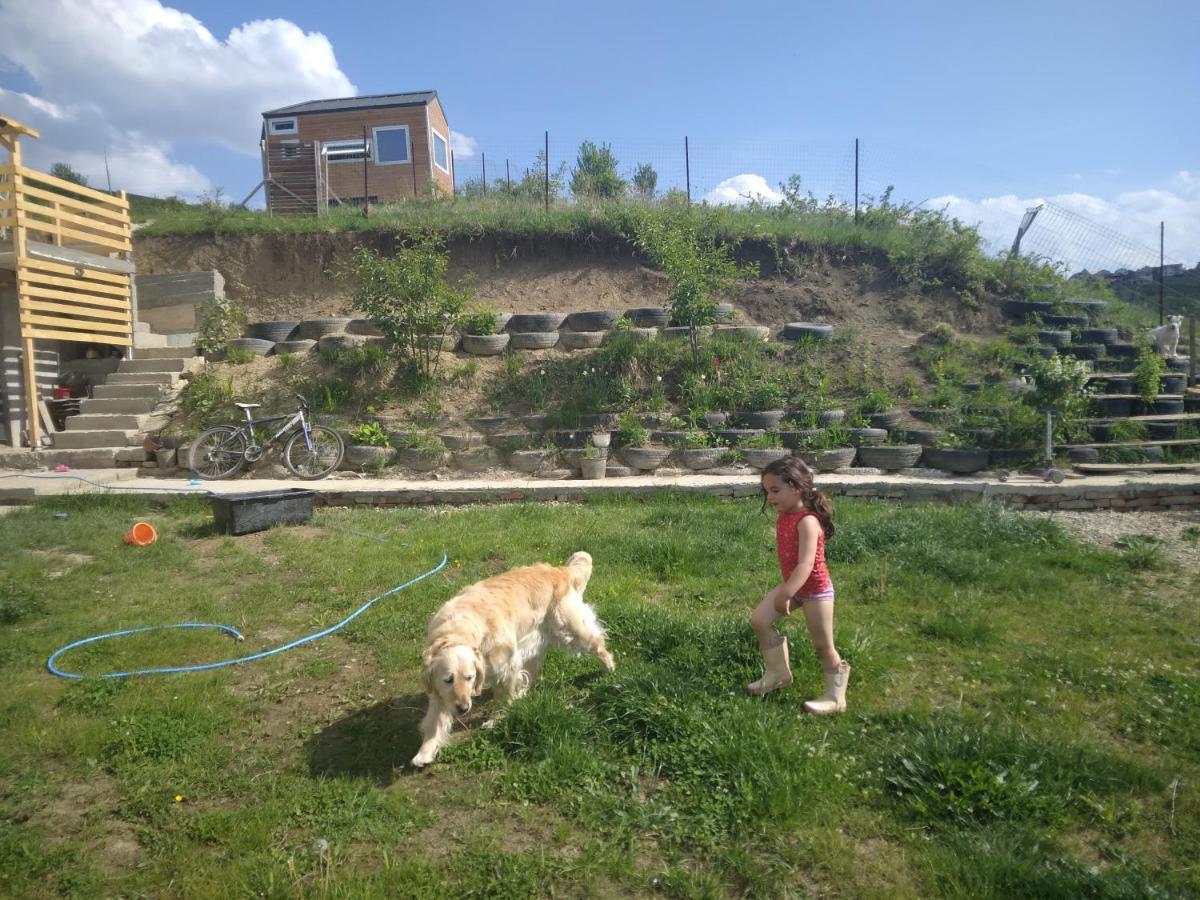 Tiny House Cluj With Jacuzzi Villa Sinnicoara Bagian luar foto