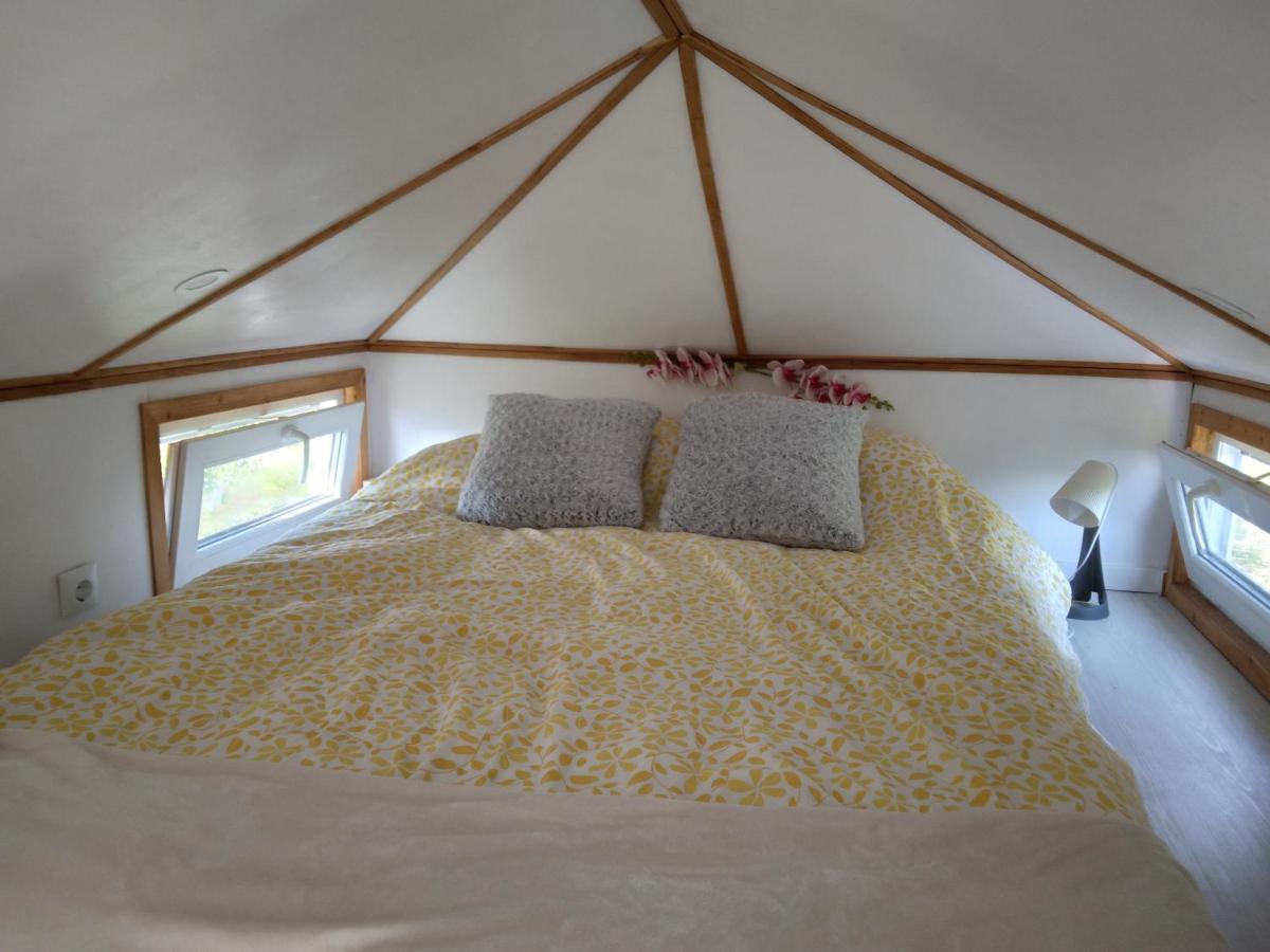 Tiny House Cluj With Jacuzzi Villa Sinnicoara Bagian luar foto