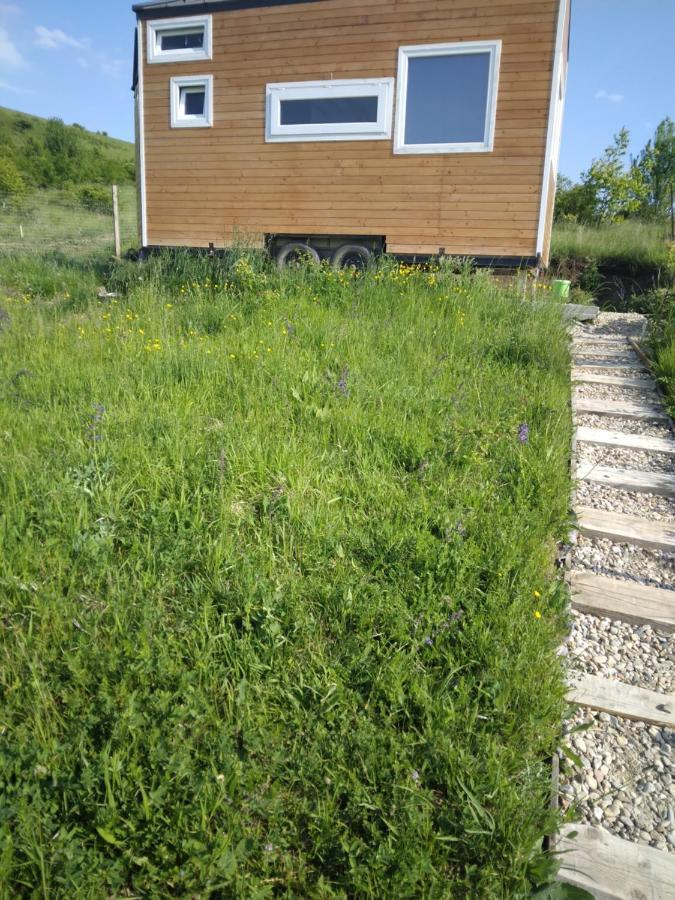 Tiny House Cluj With Jacuzzi Villa Sinnicoara Bagian luar foto