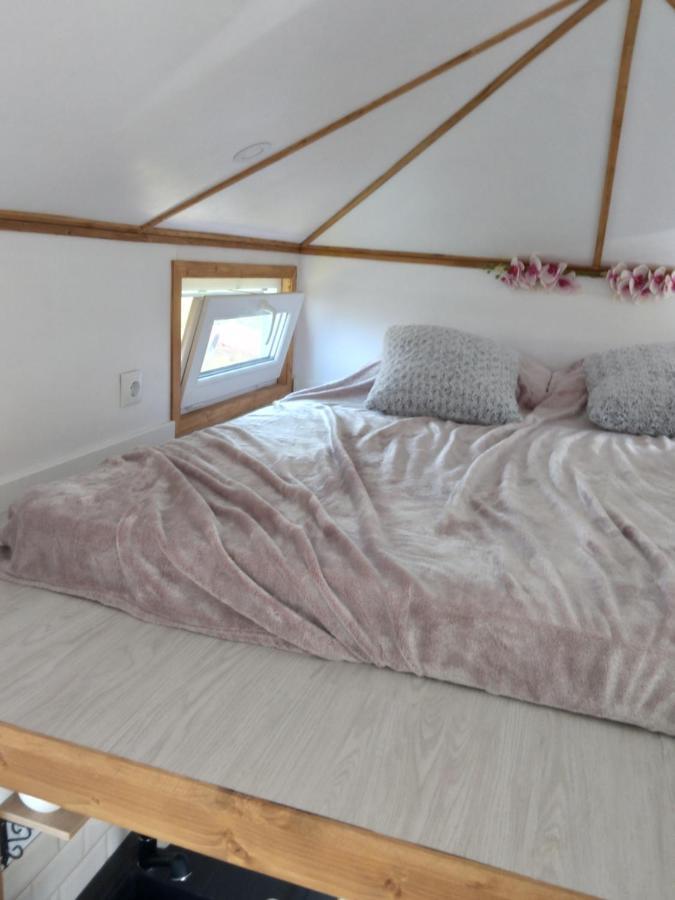 Tiny House Cluj With Jacuzzi Villa Sinnicoara Bagian luar foto