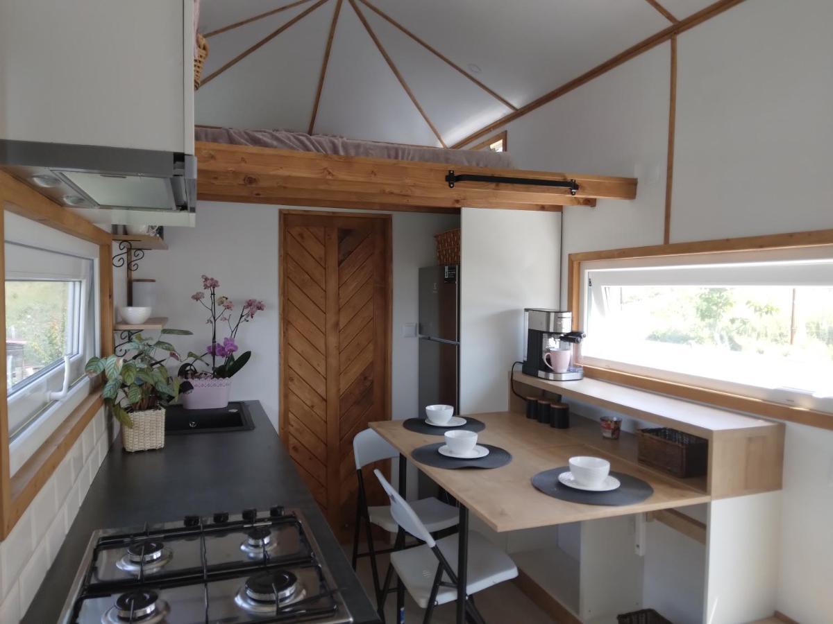Tiny House Cluj With Jacuzzi Villa Sinnicoara Bagian luar foto